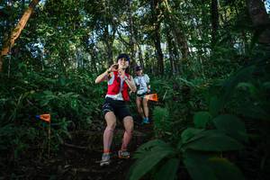 BIB: 
                            <button type="button" onclick="openModal(22678520)" class="btn btn-primary btn-sm float-right btn-popup" data-toggle="modal" data-target=".modal-high-quality">
                        <i class="fas fa-shopping-cart"></i> Add to Cart
                    </button>
                                            <button type="button" onclick="isThisMe(22678520, true)" class="btn btn-success btn-sm float-right btn-popup btn-isme hidden" data-toggle="tooltip" data-placement="bottom" title="นี่คือรูปของคุณใช่ไหม คลิกที่นี่เพื่อเอาเข้าอัลบั้ม">
                        <i class="fas fa-plus"></i> Add to album
                    </button>
                    <button type="button" onclick="isThisMe(22678520, false)" class="btn btn-warning btn-sm float-right btn-popup btn-isnotme hidden">
                        <i class="fas fa-ban"></i> Remove from album
                    </button>