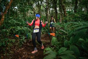 BIB: 3120
                            <button type="button" onclick="openModal(22686560)" class="btn btn-primary btn-sm float-right btn-popup" data-toggle="modal" data-target=".modal-high-quality">
                        <i class="fas fa-shopping-cart"></i> Add to Cart
                    </button>
                                            <button type="button" onclick="isThisMe(22686560, true)" class="btn btn-success btn-sm float-right btn-popup btn-isme hidden" data-toggle="tooltip" data-placement="bottom" title="นี่คือรูปของคุณใช่ไหม คลิกที่นี่เพื่อเอาเข้าอัลบั้ม">
                        <i class="fas fa-plus"></i> Add to album
                    </button>
                    <button type="button" onclick="isThisMe(22686560, false)" class="btn btn-warning btn-sm float-right btn-popup btn-isnotme hidden">
                        <i class="fas fa-ban"></i> Remove from album
                    </button>