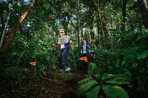 BIB: 
                            <button type="button" onclick="openModal(22682335)" class="btn btn-primary btn-sm float-right btn-popup" data-toggle="modal" data-target=".modal-high-quality">
                        <i class="fas fa-shopping-cart"></i> Add to Cart
                    </button>
                                            <button type="button" onclick="isThisMe(22682335, true)" class="btn btn-success btn-sm float-right btn-popup btn-isme hidden" data-toggle="tooltip" data-placement="bottom" title="นี่คือรูปของคุณใช่ไหม คลิกที่นี่เพื่อเอาเข้าอัลบั้ม">
                        <i class="fas fa-plus"></i> Add to album
                    </button>
                    <button type="button" onclick="isThisMe(22682335, false)" class="btn btn-warning btn-sm float-right btn-popup btn-isnotme hidden">
                        <i class="fas fa-ban"></i> Remove from album
                    </button>