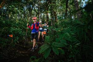 BIB: 
                            <button type="button" onclick="openModal(22681959)" class="btn btn-primary btn-sm float-right btn-popup" data-toggle="modal" data-target=".modal-high-quality">
                        <i class="fas fa-shopping-cart"></i> Add to Cart
                    </button>
                                            <button type="button" onclick="isThisMe(22681959, true)" class="btn btn-success btn-sm float-right btn-popup btn-isme hidden" data-toggle="tooltip" data-placement="bottom" title="นี่คือรูปของคุณใช่ไหม คลิกที่นี่เพื่อเอาเข้าอัลบั้ม">
                        <i class="fas fa-plus"></i> Add to album
                    </button>
                    <button type="button" onclick="isThisMe(22681959, false)" class="btn btn-warning btn-sm float-right btn-popup btn-isnotme hidden">
                        <i class="fas fa-ban"></i> Remove from album
                    </button>