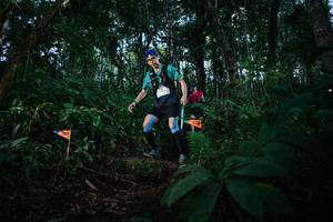 BIB: 
                            <button type="button" onclick="openModal(22668161)" class="btn btn-primary btn-sm float-right btn-popup" data-toggle="modal" data-target=".modal-high-quality">
                        <i class="fas fa-shopping-cart"></i> Add to Cart
                    </button>
                                            <button type="button" onclick="isThisMe(22668161, true)" class="btn btn-success btn-sm float-right btn-popup btn-isme hidden" data-toggle="tooltip" data-placement="bottom" title="นี่คือรูปของคุณใช่ไหม คลิกที่นี่เพื่อเอาเข้าอัลบั้ม">
                        <i class="fas fa-plus"></i> Add to album
                    </button>
                    <button type="button" onclick="isThisMe(22668161, false)" class="btn btn-warning btn-sm float-right btn-popup btn-isnotme hidden">
                        <i class="fas fa-ban"></i> Remove from album
                    </button>