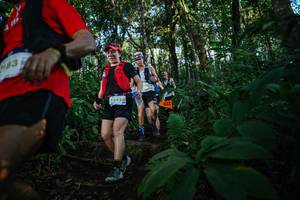 BIB: 183, 23928
                            <button type="button" onclick="openModal(22679589)" class="btn btn-primary btn-sm float-right btn-popup" data-toggle="modal" data-target=".modal-high-quality">
                        <i class="fas fa-shopping-cart"></i> Add to Cart
                    </button>
                                            <button type="button" onclick="isThisMe(22679589, true)" class="btn btn-success btn-sm float-right btn-popup btn-isme hidden" data-toggle="tooltip" data-placement="bottom" title="นี่คือรูปของคุณใช่ไหม คลิกที่นี่เพื่อเอาเข้าอัลบั้ม">
                        <i class="fas fa-plus"></i> Add to album
                    </button>
                    <button type="button" onclick="isThisMe(22679589, false)" class="btn btn-warning btn-sm float-right btn-popup btn-isnotme hidden">
                        <i class="fas fa-ban"></i> Remove from album
                    </button>