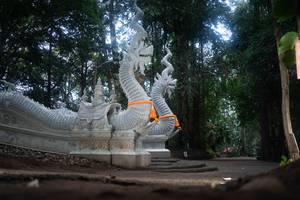 BIB: 
                            <button type="button" onclick="openModal(22636772)" class="btn btn-primary btn-sm float-right btn-popup" data-toggle="modal" data-target=".modal-high-quality">
                        <i class="fas fa-shopping-cart"></i> Add to Cart
                    </button>
                                            <button type="button" onclick="isThisMe(22636772, true)" class="btn btn-success btn-sm float-right btn-popup btn-isme hidden" data-toggle="tooltip" data-placement="bottom" title="นี่คือรูปของคุณใช่ไหม คลิกที่นี่เพื่อเอาเข้าอัลบั้ม">
                        <i class="fas fa-plus"></i> Add to album
                    </button>
                    <button type="button" onclick="isThisMe(22636772, false)" class="btn btn-warning btn-sm float-right btn-popup btn-isnotme hidden">
                        <i class="fas fa-ban"></i> Remove from album
                    </button>