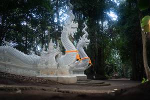 BIB: 
                            <button type="button" onclick="openModal(22636796)" class="btn btn-primary btn-sm float-right btn-popup" data-toggle="modal" data-target=".modal-high-quality">
                        <i class="fas fa-shopping-cart"></i> Add to Cart
                    </button>
                                            <button type="button" onclick="isThisMe(22636796, true)" class="btn btn-success btn-sm float-right btn-popup btn-isme hidden" data-toggle="tooltip" data-placement="bottom" title="นี่คือรูปของคุณใช่ไหม คลิกที่นี่เพื่อเอาเข้าอัลบั้ม">
                        <i class="fas fa-plus"></i> Add to album
                    </button>
                    <button type="button" onclick="isThisMe(22636796, false)" class="btn btn-warning btn-sm float-right btn-popup btn-isnotme hidden">
                        <i class="fas fa-ban"></i> Remove from album
                    </button>