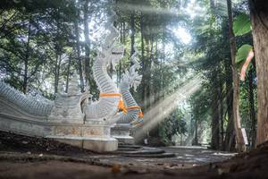 BIB: 
                            <button type="button" onclick="openModal(22633654)" class="btn btn-primary btn-sm float-right btn-popup" data-toggle="modal" data-target=".modal-high-quality">
                        <i class="fas fa-shopping-cart"></i> Add to Cart
                    </button>
                                            <button type="button" onclick="isThisMe(22633654, true)" class="btn btn-success btn-sm float-right btn-popup btn-isme hidden" data-toggle="tooltip" data-placement="bottom" title="นี่คือรูปของคุณใช่ไหม คลิกที่นี่เพื่อเอาเข้าอัลบั้ม">
                        <i class="fas fa-plus"></i> Add to album
                    </button>
                    <button type="button" onclick="isThisMe(22633654, false)" class="btn btn-warning btn-sm float-right btn-popup btn-isnotme hidden">
                        <i class="fas fa-ban"></i> Remove from album
                    </button>