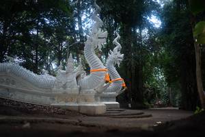 BIB: 
                            <button type="button" onclick="openModal(22636895)" class="btn btn-primary btn-sm float-right btn-popup" data-toggle="modal" data-target=".modal-high-quality">
                        <i class="fas fa-shopping-cart"></i> Add to Cart
                    </button>
                                            <button type="button" onclick="isThisMe(22636895, true)" class="btn btn-success btn-sm float-right btn-popup btn-isme hidden" data-toggle="tooltip" data-placement="bottom" title="นี่คือรูปของคุณใช่ไหม คลิกที่นี่เพื่อเอาเข้าอัลบั้ม">
                        <i class="fas fa-plus"></i> Add to album
                    </button>
                    <button type="button" onclick="isThisMe(22636895, false)" class="btn btn-warning btn-sm float-right btn-popup btn-isnotme hidden">
                        <i class="fas fa-ban"></i> Remove from album
                    </button>