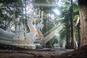 BIB: 
                            <button type="button" onclick="openModal(22633657)" class="btn btn-primary btn-sm float-right btn-popup" data-toggle="modal" data-target=".modal-high-quality">
                        <i class="fas fa-shopping-cart"></i> Add to Cart
                    </button>
                                            <button type="button" onclick="isThisMe(22633657, true)" class="btn btn-success btn-sm float-right btn-popup btn-isme hidden" data-toggle="tooltip" data-placement="bottom" title="นี่คือรูปของคุณใช่ไหม คลิกที่นี่เพื่อเอาเข้าอัลบั้ม">
                        <i class="fas fa-plus"></i> Add to album
                    </button>
                    <button type="button" onclick="isThisMe(22633657, false)" class="btn btn-warning btn-sm float-right btn-popup btn-isnotme hidden">
                        <i class="fas fa-ban"></i> Remove from album
                    </button>