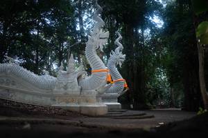 BIB: 
                            <button type="button" onclick="openModal(22636902)" class="btn btn-primary btn-sm float-right btn-popup" data-toggle="modal" data-target=".modal-high-quality">
                        <i class="fas fa-shopping-cart"></i> Add to Cart
                    </button>
                                            <button type="button" onclick="isThisMe(22636902, true)" class="btn btn-success btn-sm float-right btn-popup btn-isme hidden" data-toggle="tooltip" data-placement="bottom" title="นี่คือรูปของคุณใช่ไหม คลิกที่นี่เพื่อเอาเข้าอัลบั้ม">
                        <i class="fas fa-plus"></i> Add to album
                    </button>
                    <button type="button" onclick="isThisMe(22636902, false)" class="btn btn-warning btn-sm float-right btn-popup btn-isnotme hidden">
                        <i class="fas fa-ban"></i> Remove from album
                    </button>