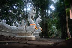 BIB: 
                            <button type="button" onclick="openModal(22636812)" class="btn btn-primary btn-sm float-right btn-popup" data-toggle="modal" data-target=".modal-high-quality">
                        <i class="fas fa-shopping-cart"></i> Add to Cart
                    </button>
                                            <button type="button" onclick="isThisMe(22636812, true)" class="btn btn-success btn-sm float-right btn-popup btn-isme hidden" data-toggle="tooltip" data-placement="bottom" title="นี่คือรูปของคุณใช่ไหม คลิกที่นี่เพื่อเอาเข้าอัลบั้ม">
                        <i class="fas fa-plus"></i> Add to album
                    </button>
                    <button type="button" onclick="isThisMe(22636812, false)" class="btn btn-warning btn-sm float-right btn-popup btn-isnotme hidden">
                        <i class="fas fa-ban"></i> Remove from album
                    </button>