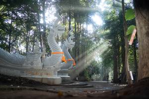 BIB: 
                            <button type="button" onclick="openModal(22633655)" class="btn btn-primary btn-sm float-right btn-popup" data-toggle="modal" data-target=".modal-high-quality">
                        <i class="fas fa-shopping-cart"></i> Add to Cart
                    </button>
                                            <button type="button" onclick="isThisMe(22633655, true)" class="btn btn-success btn-sm float-right btn-popup btn-isme hidden" data-toggle="tooltip" data-placement="bottom" title="นี่คือรูปของคุณใช่ไหม คลิกที่นี่เพื่อเอาเข้าอัลบั้ม">
                        <i class="fas fa-plus"></i> Add to album
                    </button>
                    <button type="button" onclick="isThisMe(22633655, false)" class="btn btn-warning btn-sm float-right btn-popup btn-isnotme hidden">
                        <i class="fas fa-ban"></i> Remove from album
                    </button>