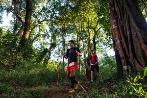 BIB: 
                            <button type="button" onclick="openModal(22399673)" class="btn btn-primary btn-sm float-right btn-popup" data-toggle="modal" data-target=".modal-high-quality">
                        <i class="fas fa-shopping-cart"></i> Add to Cart
                    </button>
                                            <button type="button" onclick="isThisMe(22399673, true)" class="btn btn-success btn-sm float-right btn-popup btn-isme hidden" data-toggle="tooltip" data-placement="bottom" title="นี่คือรูปของคุณใช่ไหม คลิกที่นี่เพื่อเอาเข้าอัลบั้ม">
                        <i class="fas fa-plus"></i> Add to album
                    </button>
                    <button type="button" onclick="isThisMe(22399673, false)" class="btn btn-warning btn-sm float-right btn-popup btn-isnotme hidden">
                        <i class="fas fa-ban"></i> Remove from album
                    </button>