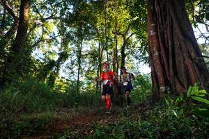 BIB: 
                            <button type="button" onclick="openModal(22398756)" class="btn btn-primary btn-sm float-right btn-popup" data-toggle="modal" data-target=".modal-high-quality">
                        <i class="fas fa-shopping-cart"></i> Add to Cart
                    </button>
                                            <button type="button" onclick="isThisMe(22398756, true)" class="btn btn-success btn-sm float-right btn-popup btn-isme hidden" data-toggle="tooltip" data-placement="bottom" title="นี่คือรูปของคุณใช่ไหม คลิกที่นี่เพื่อเอาเข้าอัลบั้ม">
                        <i class="fas fa-plus"></i> Add to album
                    </button>
                    <button type="button" onclick="isThisMe(22398756, false)" class="btn btn-warning btn-sm float-right btn-popup btn-isnotme hidden">
                        <i class="fas fa-ban"></i> Remove from album
                    </button>