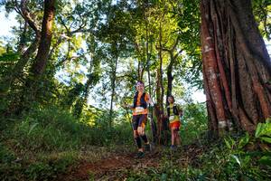 BIB: 
                            <button type="button" onclick="openModal(22398624)" class="btn btn-primary btn-sm float-right btn-popup" data-toggle="modal" data-target=".modal-high-quality">
                        <i class="fas fa-shopping-cart"></i> Add to Cart
                    </button>
                                            <button type="button" onclick="isThisMe(22398624, true)" class="btn btn-success btn-sm float-right btn-popup btn-isme hidden" data-toggle="tooltip" data-placement="bottom" title="นี่คือรูปของคุณใช่ไหม คลิกที่นี่เพื่อเอาเข้าอัลบั้ม">
                        <i class="fas fa-plus"></i> Add to album
                    </button>
                    <button type="button" onclick="isThisMe(22398624, false)" class="btn btn-warning btn-sm float-right btn-popup btn-isnotme hidden">
                        <i class="fas fa-ban"></i> Remove from album
                    </button>