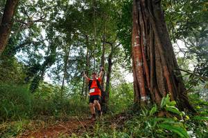 BIB: 
                            <button type="button" onclick="openModal(22404945)" class="btn btn-primary btn-sm float-right btn-popup" data-toggle="modal" data-target=".modal-high-quality">
                        <i class="fas fa-shopping-cart"></i> Add to Cart
                    </button>
                                            <button type="button" onclick="isThisMe(22404945, true)" class="btn btn-success btn-sm float-right btn-popup btn-isme hidden" data-toggle="tooltip" data-placement="bottom" title="นี่คือรูปของคุณใช่ไหม คลิกที่นี่เพื่อเอาเข้าอัลบั้ม">
                        <i class="fas fa-plus"></i> Add to album
                    </button>
                    <button type="button" onclick="isThisMe(22404945, false)" class="btn btn-warning btn-sm float-right btn-popup btn-isnotme hidden">
                        <i class="fas fa-ban"></i> Remove from album
                    </button>