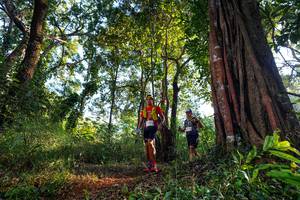 BIB: 
                            <button type="button" onclick="openModal(22400664)" class="btn btn-primary btn-sm float-right btn-popup" data-toggle="modal" data-target=".modal-high-quality">
                        <i class="fas fa-shopping-cart"></i> Add to Cart
                    </button>
                                            <button type="button" onclick="isThisMe(22400664, true)" class="btn btn-success btn-sm float-right btn-popup btn-isme hidden" data-toggle="tooltip" data-placement="bottom" title="นี่คือรูปของคุณใช่ไหม คลิกที่นี่เพื่อเอาเข้าอัลบั้ม">
                        <i class="fas fa-plus"></i> Add to album
                    </button>
                    <button type="button" onclick="isThisMe(22400664, false)" class="btn btn-warning btn-sm float-right btn-popup btn-isnotme hidden">
                        <i class="fas fa-ban"></i> Remove from album
                    </button>