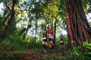 BIB: 
                            <button type="button" onclick="openModal(22398609)" class="btn btn-primary btn-sm float-right btn-popup" data-toggle="modal" data-target=".modal-high-quality">
                        <i class="fas fa-shopping-cart"></i> Add to Cart
                    </button>
                                            <button type="button" onclick="isThisMe(22398609, true)" class="btn btn-success btn-sm float-right btn-popup btn-isme hidden" data-toggle="tooltip" data-placement="bottom" title="นี่คือรูปของคุณใช่ไหม คลิกที่นี่เพื่อเอาเข้าอัลบั้ม">
                        <i class="fas fa-plus"></i> Add to album
                    </button>
                    <button type="button" onclick="isThisMe(22398609, false)" class="btn btn-warning btn-sm float-right btn-popup btn-isnotme hidden">
                        <i class="fas fa-ban"></i> Remove from album
                    </button>