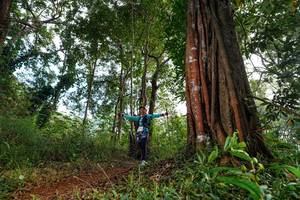 BIB: 
                            <button type="button" onclick="openModal(22404781)" class="btn btn-primary btn-sm float-right btn-popup" data-toggle="modal" data-target=".modal-high-quality">
                        <i class="fas fa-shopping-cart"></i> Add to Cart
                    </button>
                                            <button type="button" onclick="isThisMe(22404781, true)" class="btn btn-success btn-sm float-right btn-popup btn-isme hidden" data-toggle="tooltip" data-placement="bottom" title="นี่คือรูปของคุณใช่ไหม คลิกที่นี่เพื่อเอาเข้าอัลบั้ม">
                        <i class="fas fa-plus"></i> Add to album
                    </button>
                    <button type="button" onclick="isThisMe(22404781, false)" class="btn btn-warning btn-sm float-right btn-popup btn-isnotme hidden">
                        <i class="fas fa-ban"></i> Remove from album
                    </button>