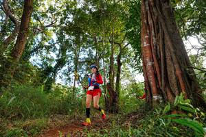 BIB: 
                            <button type="button" onclick="openModal(22402839)" class="btn btn-primary btn-sm float-right btn-popup" data-toggle="modal" data-target=".modal-high-quality">
                        <i class="fas fa-shopping-cart"></i> Add to Cart
                    </button>
                                            <button type="button" onclick="isThisMe(22402839, true)" class="btn btn-success btn-sm float-right btn-popup btn-isme hidden" data-toggle="tooltip" data-placement="bottom" title="นี่คือรูปของคุณใช่ไหม คลิกที่นี่เพื่อเอาเข้าอัลบั้ม">
                        <i class="fas fa-plus"></i> Add to album
                    </button>
                    <button type="button" onclick="isThisMe(22402839, false)" class="btn btn-warning btn-sm float-right btn-popup btn-isnotme hidden">
                        <i class="fas fa-ban"></i> Remove from album
                    </button>