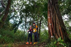 BIB: 
                            <button type="button" onclick="openModal(22404551)" class="btn btn-primary btn-sm float-right btn-popup" data-toggle="modal" data-target=".modal-high-quality">
                        <i class="fas fa-shopping-cart"></i> Add to Cart
                    </button>
                                            <button type="button" onclick="isThisMe(22404551, true)" class="btn btn-success btn-sm float-right btn-popup btn-isme hidden" data-toggle="tooltip" data-placement="bottom" title="นี่คือรูปของคุณใช่ไหม คลิกที่นี่เพื่อเอาเข้าอัลบั้ม">
                        <i class="fas fa-plus"></i> Add to album
                    </button>
                    <button type="button" onclick="isThisMe(22404551, false)" class="btn btn-warning btn-sm float-right btn-popup btn-isnotme hidden">
                        <i class="fas fa-ban"></i> Remove from album
                    </button>