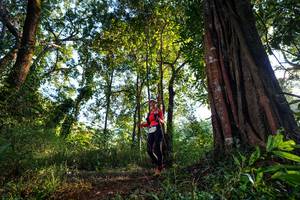 BIB: 
                            <button type="button" onclick="openModal(22400907)" class="btn btn-primary btn-sm float-right btn-popup" data-toggle="modal" data-target=".modal-high-quality">
                        <i class="fas fa-shopping-cart"></i> Add to Cart
                    </button>
                                            <button type="button" onclick="isThisMe(22400907, true)" class="btn btn-success btn-sm float-right btn-popup btn-isme hidden" data-toggle="tooltip" data-placement="bottom" title="นี่คือรูปของคุณใช่ไหม คลิกที่นี่เพื่อเอาเข้าอัลบั้ม">
                        <i class="fas fa-plus"></i> Add to album
                    </button>
                    <button type="button" onclick="isThisMe(22400907, false)" class="btn btn-warning btn-sm float-right btn-popup btn-isnotme hidden">
                        <i class="fas fa-ban"></i> Remove from album
                    </button>