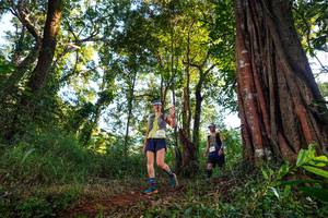 BIB: 
                            <button type="button" onclick="openModal(22398368)" class="btn btn-primary btn-sm float-right btn-popup" data-toggle="modal" data-target=".modal-high-quality">
                        <i class="fas fa-shopping-cart"></i> Add to Cart
                    </button>
                                            <button type="button" onclick="isThisMe(22398368, true)" class="btn btn-success btn-sm float-right btn-popup btn-isme hidden" data-toggle="tooltip" data-placement="bottom" title="นี่คือรูปของคุณใช่ไหม คลิกที่นี่เพื่อเอาเข้าอัลบั้ม">
                        <i class="fas fa-plus"></i> Add to album
                    </button>
                    <button type="button" onclick="isThisMe(22398368, false)" class="btn btn-warning btn-sm float-right btn-popup btn-isnotme hidden">
                        <i class="fas fa-ban"></i> Remove from album
                    </button>