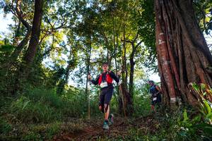 BIB: 
                            <button type="button" onclick="openModal(22395704)" class="btn btn-primary btn-sm float-right btn-popup" data-toggle="modal" data-target=".modal-high-quality">
                        <i class="fas fa-shopping-cart"></i> Add to Cart
                    </button>
                                            <button type="button" onclick="isThisMe(22395704, true)" class="btn btn-success btn-sm float-right btn-popup btn-isme hidden" data-toggle="tooltip" data-placement="bottom" title="นี่คือรูปของคุณใช่ไหม คลิกที่นี่เพื่อเอาเข้าอัลบั้ม">
                        <i class="fas fa-plus"></i> Add to album
                    </button>
                    <button type="button" onclick="isThisMe(22395704, false)" class="btn btn-warning btn-sm float-right btn-popup btn-isnotme hidden">
                        <i class="fas fa-ban"></i> Remove from album
                    </button>