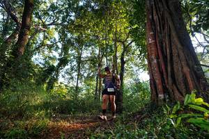 BIB: 2002
                            <button type="button" onclick="openModal(22400641)" class="btn btn-primary btn-sm float-right btn-popup" data-toggle="modal" data-target=".modal-high-quality">
                        <i class="fas fa-shopping-cart"></i> Add to Cart
                    </button>
                                            <button type="button" onclick="isThisMe(22400641, true)" class="btn btn-success btn-sm float-right btn-popup btn-isme hidden" data-toggle="tooltip" data-placement="bottom" title="นี่คือรูปของคุณใช่ไหม คลิกที่นี่เพื่อเอาเข้าอัลบั้ม">
                        <i class="fas fa-plus"></i> Add to album
                    </button>
                    <button type="button" onclick="isThisMe(22400641, false)" class="btn btn-warning btn-sm float-right btn-popup btn-isnotme hidden">
                        <i class="fas fa-ban"></i> Remove from album
                    </button>