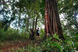 BIB: 
                            <button type="button" onclick="openModal(22404810)" class="btn btn-primary btn-sm float-right btn-popup" data-toggle="modal" data-target=".modal-high-quality">
                        <i class="fas fa-shopping-cart"></i> Add to Cart
                    </button>
                                            <button type="button" onclick="isThisMe(22404810, true)" class="btn btn-success btn-sm float-right btn-popup btn-isme hidden" data-toggle="tooltip" data-placement="bottom" title="นี่คือรูปของคุณใช่ไหม คลิกที่นี่เพื่อเอาเข้าอัลบั้ม">
                        <i class="fas fa-plus"></i> Add to album
                    </button>
                    <button type="button" onclick="isThisMe(22404810, false)" class="btn btn-warning btn-sm float-right btn-popup btn-isnotme hidden">
                        <i class="fas fa-ban"></i> Remove from album
                    </button>