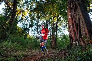 BIB: 
                            <button type="button" onclick="openModal(22392229)" class="btn btn-primary btn-sm float-right btn-popup" data-toggle="modal" data-target=".modal-high-quality">
                        <i class="fas fa-shopping-cart"></i> Add to Cart
                    </button>
                                            <button type="button" onclick="isThisMe(22392229, true)" class="btn btn-success btn-sm float-right btn-popup btn-isme hidden" data-toggle="tooltip" data-placement="bottom" title="นี่คือรูปของคุณใช่ไหม คลิกที่นี่เพื่อเอาเข้าอัลบั้ม">
                        <i class="fas fa-plus"></i> Add to album
                    </button>
                    <button type="button" onclick="isThisMe(22392229, false)" class="btn btn-warning btn-sm float-right btn-popup btn-isnotme hidden">
                        <i class="fas fa-ban"></i> Remove from album
                    </button>