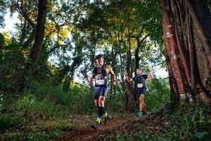 BIB: 
                            <button type="button" onclick="openModal(22392128)" class="btn btn-primary btn-sm float-right btn-popup" data-toggle="modal" data-target=".modal-high-quality">
                        <i class="fas fa-shopping-cart"></i> Add to Cart
                    </button>
                                            <button type="button" onclick="isThisMe(22392128, true)" class="btn btn-success btn-sm float-right btn-popup btn-isme hidden" data-toggle="tooltip" data-placement="bottom" title="นี่คือรูปของคุณใช่ไหม คลิกที่นี่เพื่อเอาเข้าอัลบั้ม">
                        <i class="fas fa-plus"></i> Add to album
                    </button>
                    <button type="button" onclick="isThisMe(22392128, false)" class="btn btn-warning btn-sm float-right btn-popup btn-isnotme hidden">
                        <i class="fas fa-ban"></i> Remove from album
                    </button>