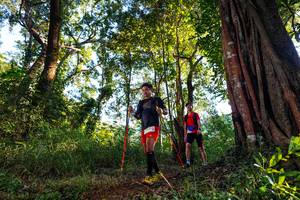 BIB: 
                            <button type="button" onclick="openModal(22399668)" class="btn btn-primary btn-sm float-right btn-popup" data-toggle="modal" data-target=".modal-high-quality">
                        <i class="fas fa-shopping-cart"></i> Add to Cart
                    </button>
                                            <button type="button" onclick="isThisMe(22399668, true)" class="btn btn-success btn-sm float-right btn-popup btn-isme hidden" data-toggle="tooltip" data-placement="bottom" title="นี่คือรูปของคุณใช่ไหม คลิกที่นี่เพื่อเอาเข้าอัลบั้ม">
                        <i class="fas fa-plus"></i> Add to album
                    </button>
                    <button type="button" onclick="isThisMe(22399668, false)" class="btn btn-warning btn-sm float-right btn-popup btn-isnotme hidden">
                        <i class="fas fa-ban"></i> Remove from album
                    </button>