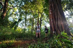 BIB: 
                            <button type="button" onclick="openModal(22400021)" class="btn btn-primary btn-sm float-right btn-popup" data-toggle="modal" data-target=".modal-high-quality">
                        <i class="fas fa-shopping-cart"></i> Add to Cart
                    </button>
                                            <button type="button" onclick="isThisMe(22400021, true)" class="btn btn-success btn-sm float-right btn-popup btn-isme hidden" data-toggle="tooltip" data-placement="bottom" title="นี่คือรูปของคุณใช่ไหม คลิกที่นี่เพื่อเอาเข้าอัลบั้ม">
                        <i class="fas fa-plus"></i> Add to album
                    </button>
                    <button type="button" onclick="isThisMe(22400021, false)" class="btn btn-warning btn-sm float-right btn-popup btn-isnotme hidden">
                        <i class="fas fa-ban"></i> Remove from album
                    </button>