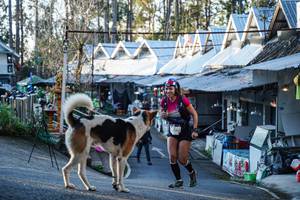 BIB: 
                            <button type="button" onclick="openModal(22743365)" class="btn btn-primary btn-sm float-right btn-popup" data-toggle="modal" data-target=".modal-high-quality">
                        <i class="fas fa-shopping-cart"></i> Add to Cart
                    </button>
                                            <button type="button" onclick="isThisMe(22743365, true)" class="btn btn-success btn-sm float-right btn-popup btn-isme hidden" data-toggle="tooltip" data-placement="bottom" title="นี่คือรูปของคุณใช่ไหม คลิกที่นี่เพื่อเอาเข้าอัลบั้ม">
                        <i class="fas fa-plus"></i> Add to album
                    </button>
                    <button type="button" onclick="isThisMe(22743365, false)" class="btn btn-warning btn-sm float-right btn-popup btn-isnotme hidden">
                        <i class="fas fa-ban"></i> Remove from album
                    </button>