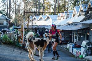 BIB: 1349
                            <button type="button" onclick="openModal(22743363)" class="btn btn-primary btn-sm float-right btn-popup" data-toggle="modal" data-target=".modal-high-quality">
                        <i class="fas fa-shopping-cart"></i> Add to Cart
                    </button>
                                            <button type="button" onclick="isThisMe(22743363, true)" class="btn btn-success btn-sm float-right btn-popup btn-isme hidden" data-toggle="tooltip" data-placement="bottom" title="นี่คือรูปของคุณใช่ไหม คลิกที่นี่เพื่อเอาเข้าอัลบั้ม">
                        <i class="fas fa-plus"></i> Add to album
                    </button>
                    <button type="button" onclick="isThisMe(22743363, false)" class="btn btn-warning btn-sm float-right btn-popup btn-isnotme hidden">
                        <i class="fas fa-ban"></i> Remove from album
                    </button>