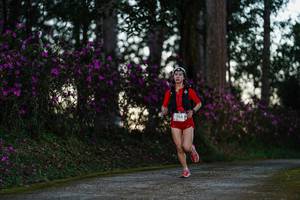 BIB: 
                            <button type="button" onclick="openModal(22740059)" class="btn btn-primary btn-sm float-right btn-popup" data-toggle="modal" data-target=".modal-high-quality">
                        <i class="fas fa-shopping-cart"></i> Add to Cart
                    </button>
                                            <button type="button" onclick="isThisMe(22740059, true)" class="btn btn-success btn-sm float-right btn-popup btn-isme hidden" data-toggle="tooltip" data-placement="bottom" title="นี่คือรูปของคุณใช่ไหม คลิกที่นี่เพื่อเอาเข้าอัลบั้ม">
                        <i class="fas fa-plus"></i> Add to album
                    </button>
                    <button type="button" onclick="isThisMe(22740059, false)" class="btn btn-warning btn-sm float-right btn-popup btn-isnotme hidden">
                        <i class="fas fa-ban"></i> Remove from album
                    </button>