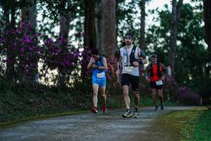 BIB: 
                            <button type="button" onclick="openModal(22741375)" class="btn btn-primary btn-sm float-right btn-popup" data-toggle="modal" data-target=".modal-high-quality">
                        <i class="fas fa-shopping-cart"></i> Add to Cart
                    </button>
                                            <button type="button" onclick="isThisMe(22741375, true)" class="btn btn-success btn-sm float-right btn-popup btn-isme hidden" data-toggle="tooltip" data-placement="bottom" title="นี่คือรูปของคุณใช่ไหม คลิกที่นี่เพื่อเอาเข้าอัลบั้ม">
                        <i class="fas fa-plus"></i> Add to album
                    </button>
                    <button type="button" onclick="isThisMe(22741375, false)" class="btn btn-warning btn-sm float-right btn-popup btn-isnotme hidden">
                        <i class="fas fa-ban"></i> Remove from album
                    </button>