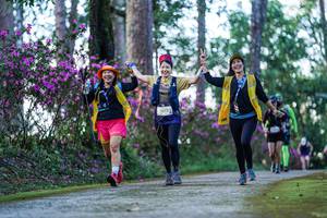 BIB: 2012
                            <button type="button" onclick="openModal(22737054)" class="btn btn-primary btn-sm float-right btn-popup" data-toggle="modal" data-target=".modal-high-quality">
                        <i class="fas fa-shopping-cart"></i> Add to Cart
                    </button>
                                            <button type="button" onclick="isThisMe(22737054, true)" class="btn btn-success btn-sm float-right btn-popup btn-isme hidden" data-toggle="tooltip" data-placement="bottom" title="นี่คือรูปของคุณใช่ไหม คลิกที่นี่เพื่อเอาเข้าอัลบั้ม">
                        <i class="fas fa-plus"></i> Add to album
                    </button>
                    <button type="button" onclick="isThisMe(22737054, false)" class="btn btn-warning btn-sm float-right btn-popup btn-isnotme hidden">
                        <i class="fas fa-ban"></i> Remove from album
                    </button>