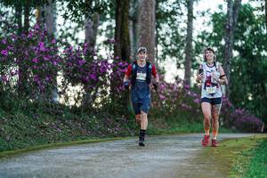 BIB: 
                            <button type="button" onclick="openModal(22741325)" class="btn btn-primary btn-sm float-right btn-popup" data-toggle="modal" data-target=".modal-high-quality">
                        <i class="fas fa-shopping-cart"></i> Add to Cart
                    </button>
                                            <button type="button" onclick="isThisMe(22741325, true)" class="btn btn-success btn-sm float-right btn-popup btn-isme hidden" data-toggle="tooltip" data-placement="bottom" title="นี่คือรูปของคุณใช่ไหม คลิกที่นี่เพื่อเอาเข้าอัลบั้ม">
                        <i class="fas fa-plus"></i> Add to album
                    </button>
                    <button type="button" onclick="isThisMe(22741325, false)" class="btn btn-warning btn-sm float-right btn-popup btn-isnotme hidden">
                        <i class="fas fa-ban"></i> Remove from album
                    </button>