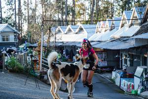 BIB: 2340
                            <button type="button" onclick="openModal(22743368)" class="btn btn-primary btn-sm float-right btn-popup" data-toggle="modal" data-target=".modal-high-quality">
                        <i class="fas fa-shopping-cart"></i> Add to Cart
                    </button>
                                            <button type="button" onclick="isThisMe(22743368, true)" class="btn btn-success btn-sm float-right btn-popup btn-isme hidden" data-toggle="tooltip" data-placement="bottom" title="นี่คือรูปของคุณใช่ไหม คลิกที่นี่เพื่อเอาเข้าอัลบั้ม">
                        <i class="fas fa-plus"></i> Add to album
                    </button>
                    <button type="button" onclick="isThisMe(22743368, false)" class="btn btn-warning btn-sm float-right btn-popup btn-isnotme hidden">
                        <i class="fas fa-ban"></i> Remove from album
                    </button>