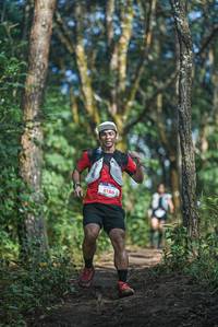 BIB: 8186
                            <button type="button" onclick="openModal(22384647)" class="btn btn-primary btn-sm float-right btn-popup" data-toggle="modal" data-target=".modal-high-quality">
                        <i class="fas fa-shopping-cart"></i> Add to Cart
                    </button>
                                            <button type="button" onclick="isThisMe(22384647, true)" class="btn btn-success btn-sm float-right btn-popup btn-isme hidden" data-toggle="tooltip" data-placement="bottom" title="นี่คือรูปของคุณใช่ไหม คลิกที่นี่เพื่อเอาเข้าอัลบั้ม">
                        <i class="fas fa-plus"></i> Add to album
                    </button>
                    <button type="button" onclick="isThisMe(22384647, false)" class="btn btn-warning btn-sm float-right btn-popup btn-isnotme hidden">
                        <i class="fas fa-ban"></i> Remove from album
                    </button>