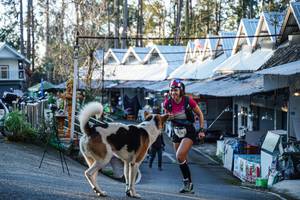 BIB: 1549
                            <button type="button" onclick="openModal(22732230)" class="btn btn-primary btn-sm float-right btn-popup" data-toggle="modal" data-target=".modal-high-quality">
                        <i class="fas fa-shopping-cart"></i> Add to Cart
                    </button>
                                            <button type="button" onclick="isThisMe(22732230, true)" class="btn btn-success btn-sm float-right btn-popup btn-isme hidden" data-toggle="tooltip" data-placement="bottom" title="นี่คือรูปของคุณใช่ไหม คลิกที่นี่เพื่อเอาเข้าอัลบั้ม">
                        <i class="fas fa-plus"></i> Add to album
                    </button>
                    <button type="button" onclick="isThisMe(22732230, false)" class="btn btn-warning btn-sm float-right btn-popup btn-isnotme hidden">
                        <i class="fas fa-ban"></i> Remove from album
                    </button>