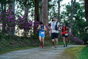 BIB: 
                            <button type="button" onclick="openModal(22730597)" class="btn btn-primary btn-sm float-right btn-popup" data-toggle="modal" data-target=".modal-high-quality">
                        <i class="fas fa-shopping-cart"></i> Add to Cart
                    </button>
                                            <button type="button" onclick="isThisMe(22730597, true)" class="btn btn-success btn-sm float-right btn-popup btn-isme hidden" data-toggle="tooltip" data-placement="bottom" title="นี่คือรูปของคุณใช่ไหม คลิกที่นี่เพื่อเอาเข้าอัลบั้ม">
                        <i class="fas fa-plus"></i> Add to album
                    </button>
                    <button type="button" onclick="isThisMe(22730597, false)" class="btn btn-warning btn-sm float-right btn-popup btn-isnotme hidden">
                        <i class="fas fa-ban"></i> Remove from album
                    </button>