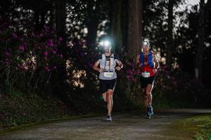 BIB: 2523
                            <button type="button" onclick="openModal(22731649)" class="btn btn-primary btn-sm float-right btn-popup" data-toggle="modal" data-target=".modal-high-quality">
                        <i class="fas fa-shopping-cart"></i> Add to Cart
                    </button>
                                            <button type="button" onclick="isThisMe(22731649, true)" class="btn btn-success btn-sm float-right btn-popup btn-isme hidden" data-toggle="tooltip" data-placement="bottom" title="นี่คือรูปของคุณใช่ไหม คลิกที่นี่เพื่อเอาเข้าอัลบั้ม">
                        <i class="fas fa-plus"></i> Add to album
                    </button>
                    <button type="button" onclick="isThisMe(22731649, false)" class="btn btn-warning btn-sm float-right btn-popup btn-isnotme hidden">
                        <i class="fas fa-ban"></i> Remove from album
                    </button>