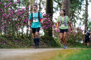 BIB: 3071
                            <button type="button" onclick="openModal(22738421)" class="btn btn-primary btn-sm float-right btn-popup" data-toggle="modal" data-target=".modal-high-quality">
                        <i class="fas fa-shopping-cart"></i> Add to Cart
                    </button>
                                            <button type="button" onclick="isThisMe(22738421, true)" class="btn btn-success btn-sm float-right btn-popup btn-isme hidden" data-toggle="tooltip" data-placement="bottom" title="นี่คือรูปของคุณใช่ไหม คลิกที่นี่เพื่อเอาเข้าอัลบั้ม">
                        <i class="fas fa-plus"></i> Add to album
                    </button>
                    <button type="button" onclick="isThisMe(22738421, false)" class="btn btn-warning btn-sm float-right btn-popup btn-isnotme hidden">
                        <i class="fas fa-ban"></i> Remove from album
                    </button>