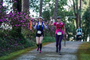 BIB: 3143
                            <button type="button" onclick="openModal(22732120)" class="btn btn-primary btn-sm float-right btn-popup" data-toggle="modal" data-target=".modal-high-quality">
                        <i class="fas fa-shopping-cart"></i> Add to Cart
                    </button>
                                            <button type="button" onclick="isThisMe(22732120, true)" class="btn btn-success btn-sm float-right btn-popup btn-isme hidden" data-toggle="tooltip" data-placement="bottom" title="นี่คือรูปของคุณใช่ไหม คลิกที่นี่เพื่อเอาเข้าอัลบั้ม">
                        <i class="fas fa-plus"></i> Add to album
                    </button>
                    <button type="button" onclick="isThisMe(22732120, false)" class="btn btn-warning btn-sm float-right btn-popup btn-isnotme hidden">
                        <i class="fas fa-ban"></i> Remove from album
                    </button>