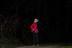 BIB: 
                            <button type="button" onclick="openModal(22731003)" class="btn btn-primary btn-sm float-right btn-popup" data-toggle="modal" data-target=".modal-high-quality">
                        <i class="fas fa-shopping-cart"></i> Add to Cart
                    </button>
                                            <button type="button" onclick="isThisMe(22731003, true)" class="btn btn-success btn-sm float-right btn-popup btn-isme hidden" data-toggle="tooltip" data-placement="bottom" title="นี่คือรูปของคุณใช่ไหม คลิกที่นี่เพื่อเอาเข้าอัลบั้ม">
                        <i class="fas fa-plus"></i> Add to album
                    </button>
                    <button type="button" onclick="isThisMe(22731003, false)" class="btn btn-warning btn-sm float-right btn-popup btn-isnotme hidden">
                        <i class="fas fa-ban"></i> Remove from album
                    </button>