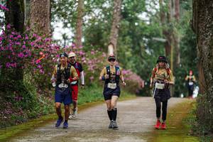 BIB: 3022, 
                            <button type="button" onclick="openModal(22739798)" class="btn btn-primary btn-sm float-right btn-popup" data-toggle="modal" data-target=".modal-high-quality">
                        <i class="fas fa-shopping-cart"></i> Add to Cart
                    </button>
                                            <button type="button" onclick="isThisMe(22739798, true)" class="btn btn-success btn-sm float-right btn-popup btn-isme hidden" data-toggle="tooltip" data-placement="bottom" title="นี่คือรูปของคุณใช่ไหม คลิกที่นี่เพื่อเอาเข้าอัลบั้ม">
                        <i class="fas fa-plus"></i> Add to album
                    </button>
                    <button type="button" onclick="isThisMe(22739798, false)" class="btn btn-warning btn-sm float-right btn-popup btn-isnotme hidden">
                        <i class="fas fa-ban"></i> Remove from album
                    </button>