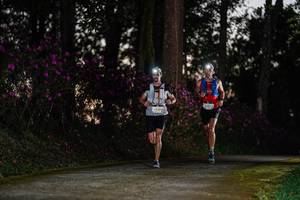 BIB: 196
                            <button type="button" onclick="openModal(22731608)" class="btn btn-primary btn-sm float-right btn-popup" data-toggle="modal" data-target=".modal-high-quality">
                        <i class="fas fa-shopping-cart"></i> Add to Cart
                    </button>
                                            <button type="button" onclick="isThisMe(22731608, true)" class="btn btn-success btn-sm float-right btn-popup btn-isme hidden" data-toggle="tooltip" data-placement="bottom" title="นี่คือรูปของคุณใช่ไหม คลิกที่นี่เพื่อเอาเข้าอัลบั้ม">
                        <i class="fas fa-plus"></i> Add to album
                    </button>
                    <button type="button" onclick="isThisMe(22731608, false)" class="btn btn-warning btn-sm float-right btn-popup btn-isnotme hidden">
                        <i class="fas fa-ban"></i> Remove from album
                    </button>