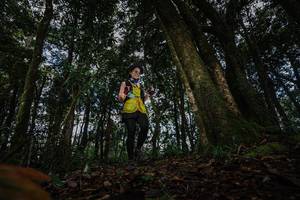 BIB: 
                            <button type="button" onclick="openModal(22319406)" class="btn btn-primary btn-sm float-right btn-popup" data-toggle="modal" data-target=".modal-high-quality">
                        <i class="fas fa-shopping-cart"></i> Add to Cart
                    </button>
                                            <button type="button" onclick="isThisMe(22319406, true)" class="btn btn-success btn-sm float-right btn-popup btn-isme hidden" data-toggle="tooltip" data-placement="bottom" title="นี่คือรูปของคุณใช่ไหม คลิกที่นี่เพื่อเอาเข้าอัลบั้ม">
                        <i class="fas fa-plus"></i> Add to album
                    </button>
                    <button type="button" onclick="isThisMe(22319406, false)" class="btn btn-warning btn-sm float-right btn-popup btn-isnotme hidden">
                        <i class="fas fa-ban"></i> Remove from album
                    </button>