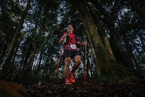 BIB: 827
                            <button type="button" onclick="openModal(22319359)" class="btn btn-primary btn-sm float-right btn-popup" data-toggle="modal" data-target=".modal-high-quality">
                        <i class="fas fa-shopping-cart"></i> Add to Cart
                    </button>
                                            <button type="button" onclick="isThisMe(22319359, true)" class="btn btn-success btn-sm float-right btn-popup btn-isme hidden" data-toggle="tooltip" data-placement="bottom" title="นี่คือรูปของคุณใช่ไหม คลิกที่นี่เพื่อเอาเข้าอัลบั้ม">
                        <i class="fas fa-plus"></i> Add to album
                    </button>
                    <button type="button" onclick="isThisMe(22319359, false)" class="btn btn-warning btn-sm float-right btn-popup btn-isnotme hidden">
                        <i class="fas fa-ban"></i> Remove from album
                    </button>